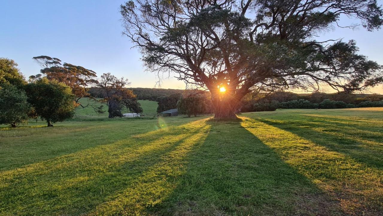 Karriview Margaret River Vila Exterior foto